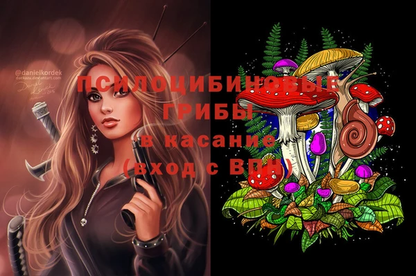 mix Аркадак