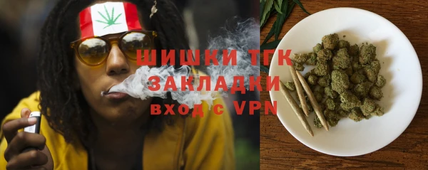 крисы Армянск