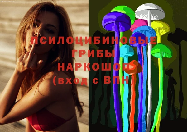 крисы Армянск