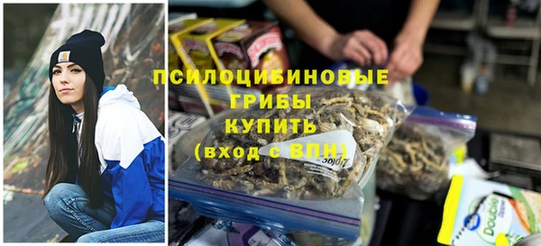 крисы Армянск