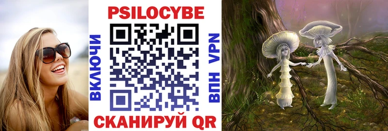 Галлюциногенные грибы Psilocybe  Куйбышев 